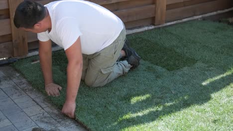 roll of new natural grass turf installed by professional gardener. landscaping industry.