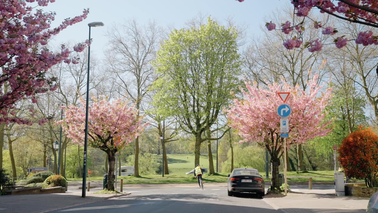 ciclista en bicicleta en un suburbio residencial verde durante la primavera, avenida tervuren en el fondo - sint-pieters-woluwe, bélgica