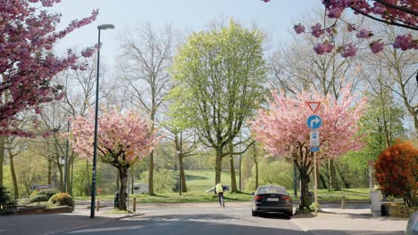 Ciclista-En-Bicicleta-En-Un-Suburbio-Residencial-Verde-Durante-La-Primavera,-Avenida-Tervuren-En-El-Fondo---Sint-pieters-woluwe,-Bélgica