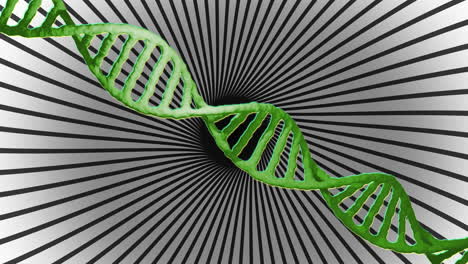 Animación-De-La-Cadena-De-ADN-Y-Procesamiento-De-Datos-Sobre-Franjas-Giratorias.
