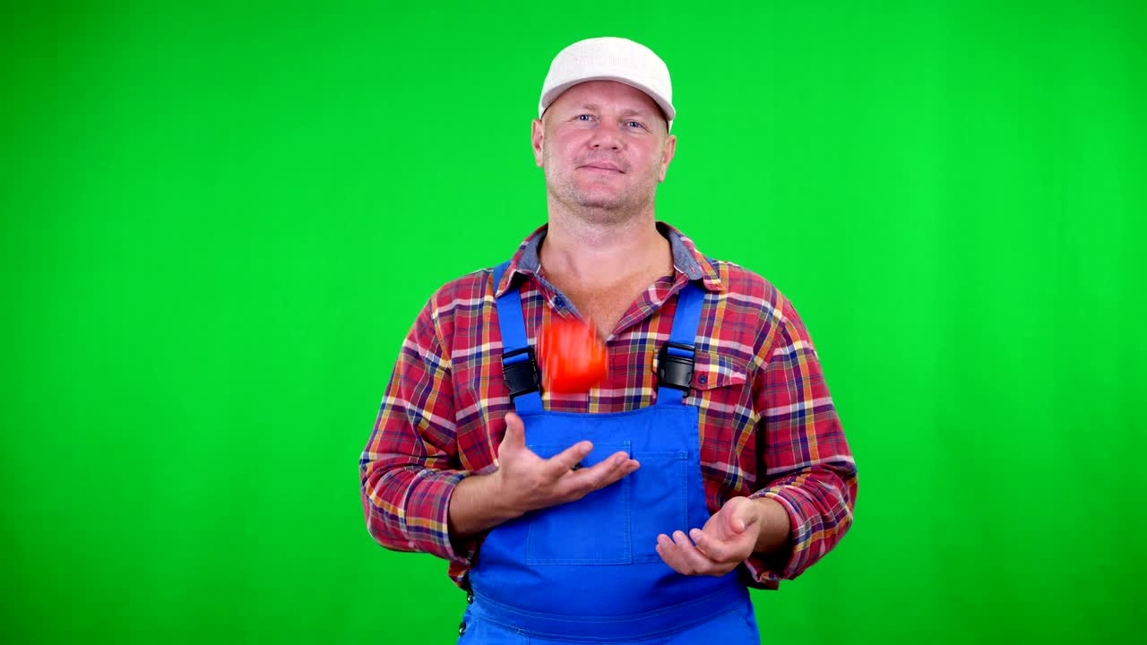 smiling male farmer in plaid shirt and hat holds beautiful sweet pepper,playing, throws it, on Chromakey, green background. concept of Healthy food to your table