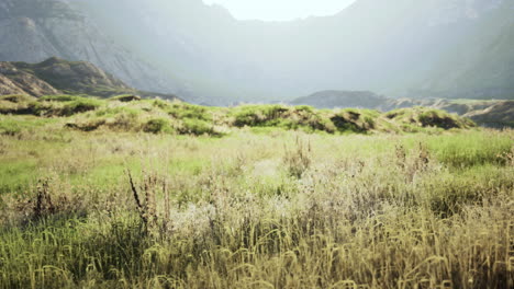 a field of grass with mountains in the background