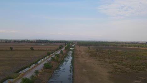 Imágenes-Aéreas-Deslizándose-Hacia-La-Izquierda-Que-Revelan-Un-Bosque-De-Eucaliptos-Y-El-Camino-De-La-Granja-De-Tierra-Con-Canales-De-Riego,-Pak-Pli,-Nakhon-Nayok,-Tailandia