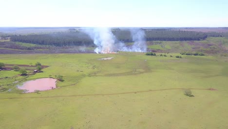 fuego controlado junto a un bosque de pinos