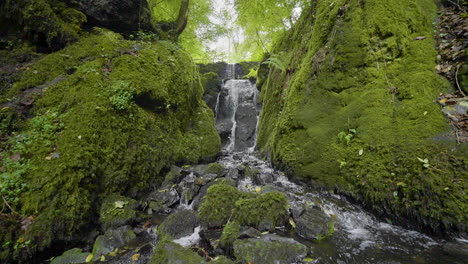 hidden waterfall in a lush forest