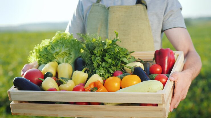 Man Farmer Holding A Box With A Set Of Autumn Vegetables Organic Farming And Farm Products