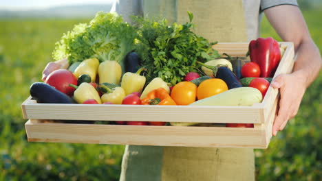 Mann-Bauer,-Der-Eine-Kiste-Mit-Einer-Reihe-Von-Herbstgemüse-Aus-Biologischem-Anbau-Und-Landwirtschaftlichen-Produkten-Hält