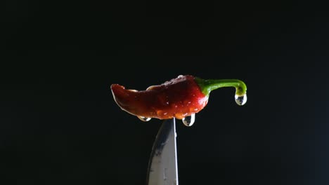 macro focus on a beautiful red chili atop a knife in a cinematic focus on the vegetable