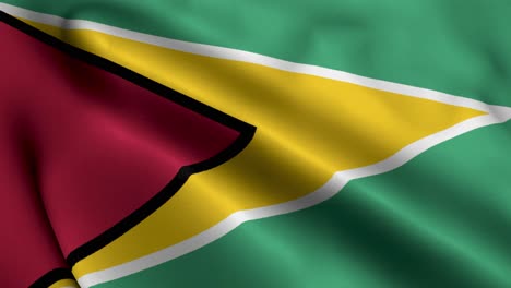 La bandera de la Guyana