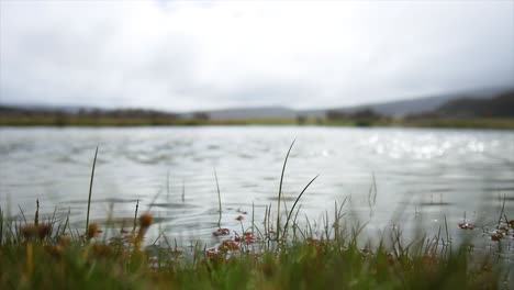 serene lake landscape