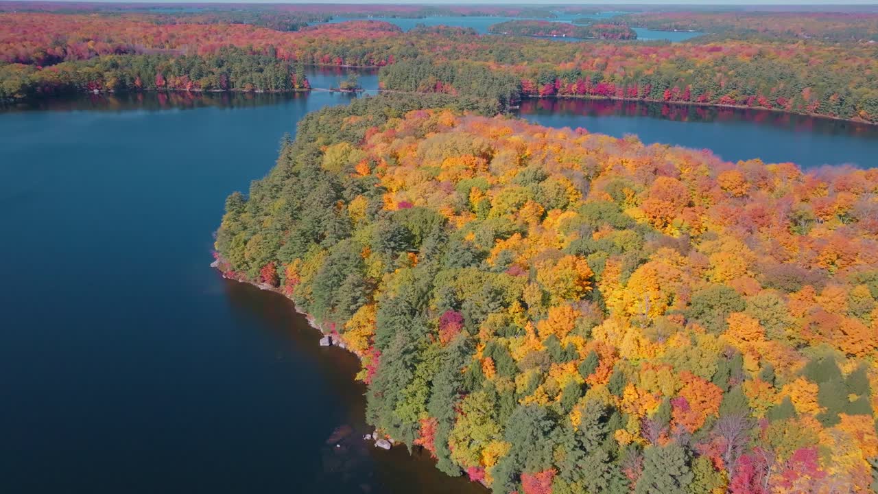A serene lake surrounded by vibrant autumn foliage, aerial view