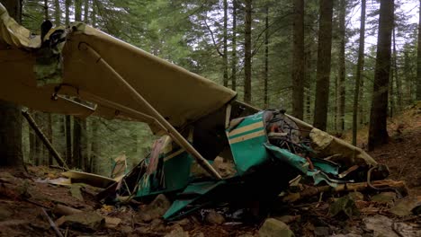 leftovers of a crashed airplane in a forest in le pilat in loire departement in france