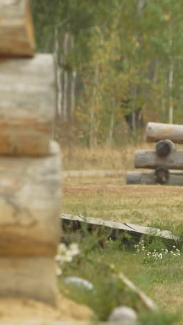 bearded warrior walks near log house. brave man works on territory of medieval village maintaining order and security backside view horizon tilts