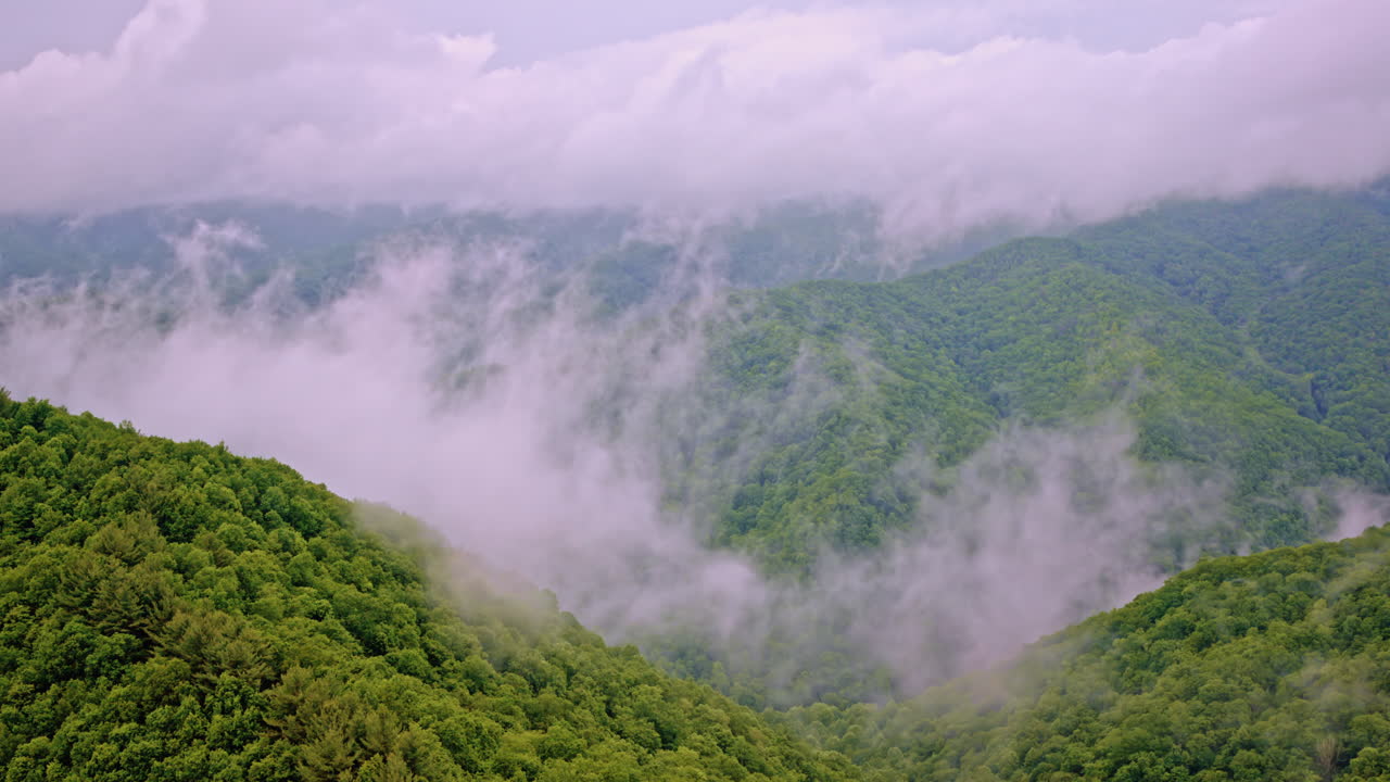 Cinematic journey through the misty dreamscape of the Great Smoky Mountains
