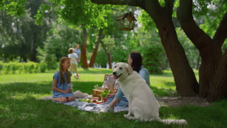 Happy-golden-retriever-sitting-near-resting-family.-Active-summer-picnic-in-park