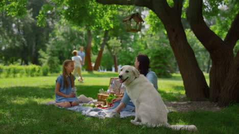 retriever dorado feliz sentado cerca de la familia de descanso. picnic de verano activo en el parque