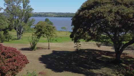 cinematic aerial footage of trees surrounding the yerba mate industry facilities in misiones, jardin, america, argentina, drone