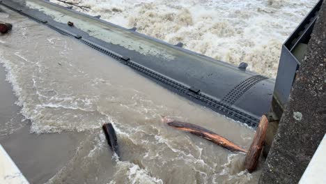 río dunau cerca del nivel máximo, durante las inundaciones en baviera, presa bergheim cerca de ingolstadt con restos flotantes