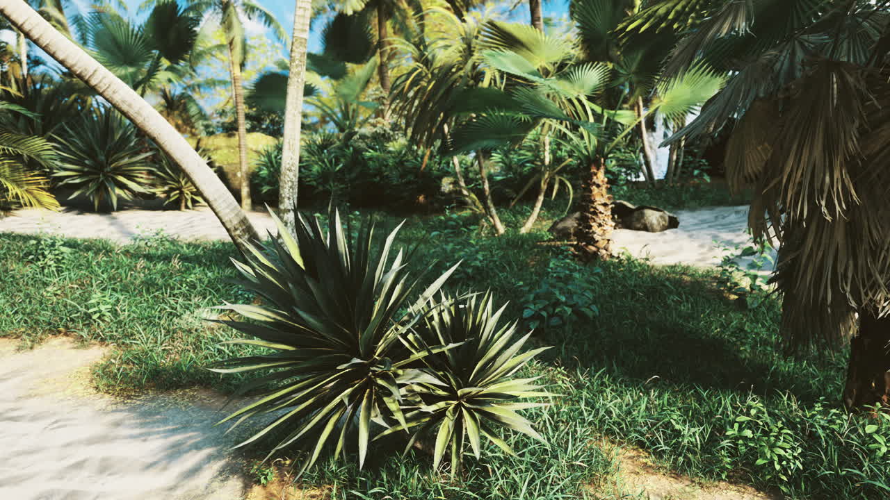 Tropical landscape with lush greenery and palm trees near sandy shoreline