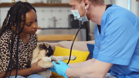 animal doctor visiting sick pet at home and checking heartbeat