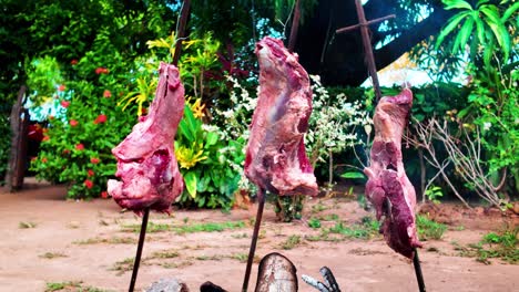 meat roasting on sticks over fire, traditional venezuelan outdoor cooking style