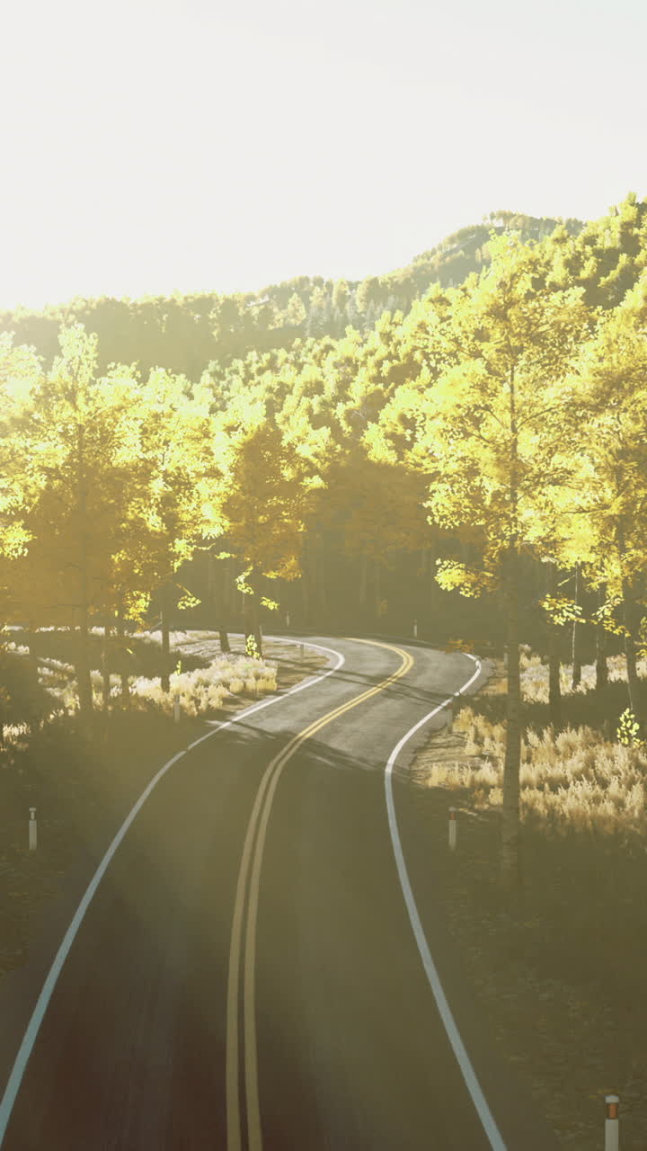 Winding road through a vibrant autumn forest bathed in golden sunlight