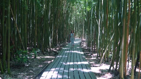 Una-Mujer-Camina-Hacia-La-Cámara-Mientras-Mira-El-Bosque-De-Bambú-A-Su-Alrededor.