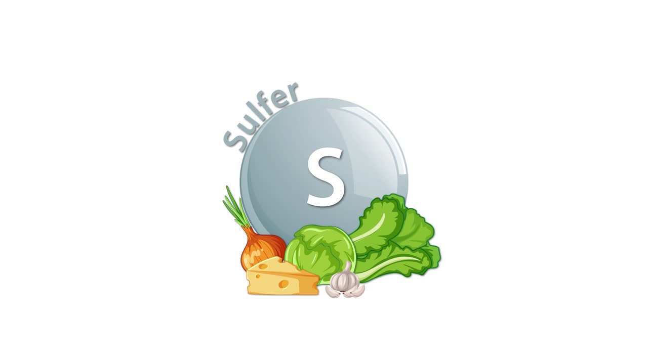 A metallic sulfur vitamin icon appears and is joined by illustrated vegetables, cheese, and garlic, emphasizing dietary sources. Smooth transitions, clean white background