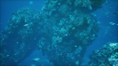 underwater coral reef scene