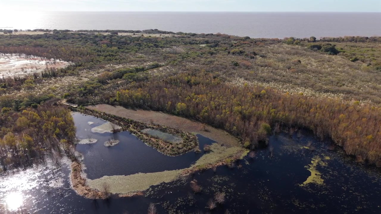 Imagens aéreas panorâmicas de drone sobre as lagoas calmas e pântanos exuberantes da Reserva Ecológica Costanera Sur em Buenos Aires, Argentina