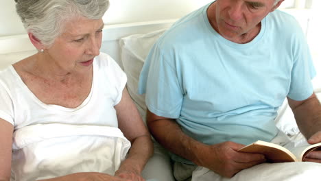 pareja de mayores leyendo un libro y usando una computadora portátil