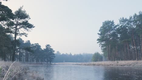 frozen forest river in the misty morning