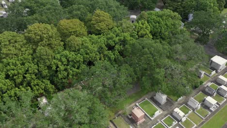 Dröhnen-über-Einem-Friedhof-In-New-Orleans