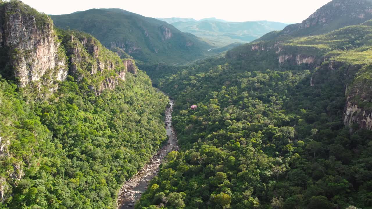 hermosos cañones exuberantes y bosques nativos vírgenes