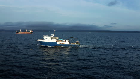 large fishing boats sailing back to port at the adriatic sea surrounded by seagulls near rijeka, croatia