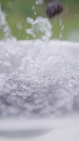 Moras-Chorreantes-Cayendo-Sobre-Agua-Cristalina