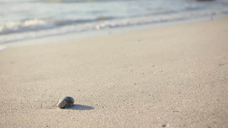 A-single-pebble-rests-on-a-sandy-beach-with-waves-in-the-background,-with-copy-space