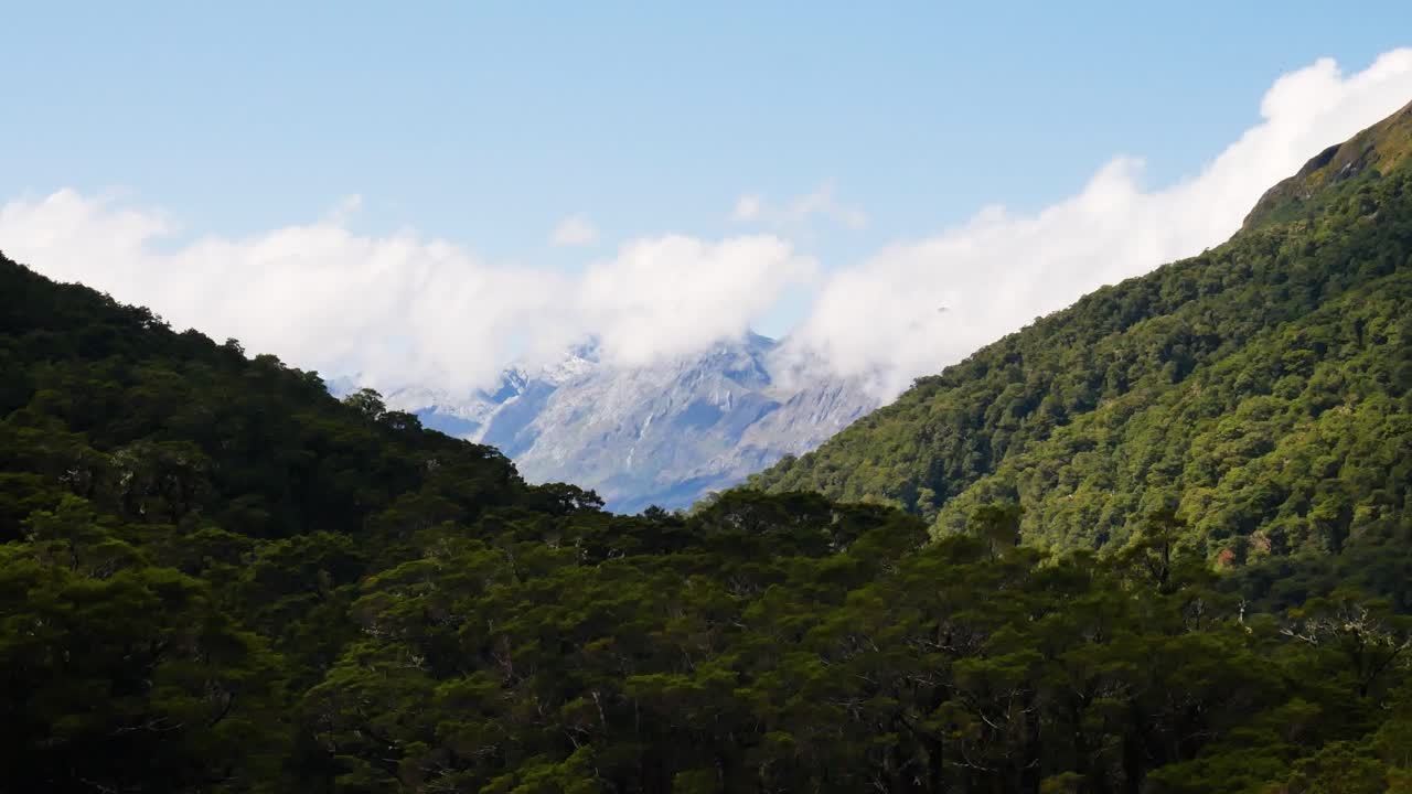 toma panorámica de montañas densas y exuberantes y nubes flotantes en el fondo durante la luz del sol - parque nacional fiordland, nz