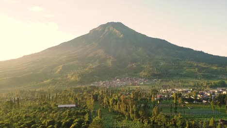 mount sumbing with rural view and lush trees in tobacco plantations with blue sky on the background in the morning