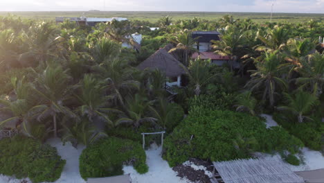 cabin in forested hotel resort in the beach of tulum, mexico