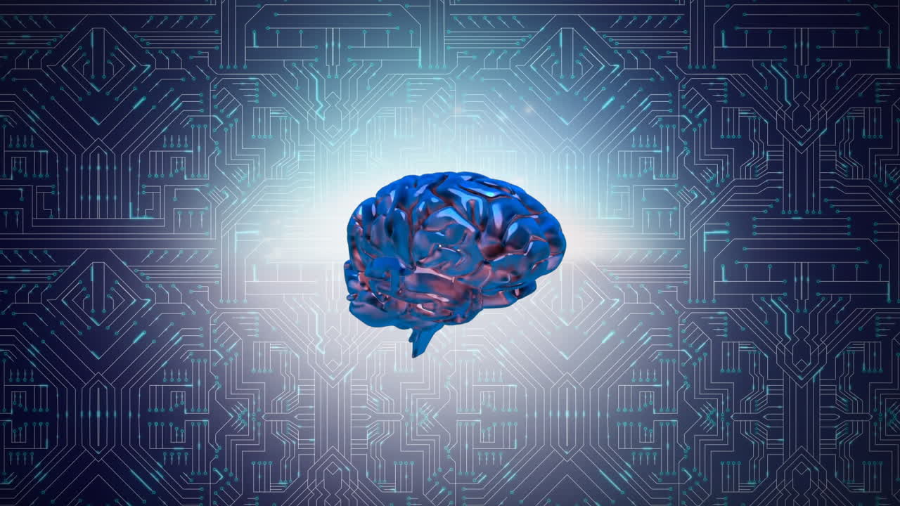 Brain and digital circuit