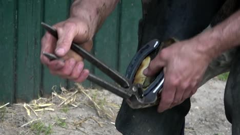 Farrier-using-pliers-to-remove-a-nail-from-a-horses-hoof,-close-up-in-slow-motion