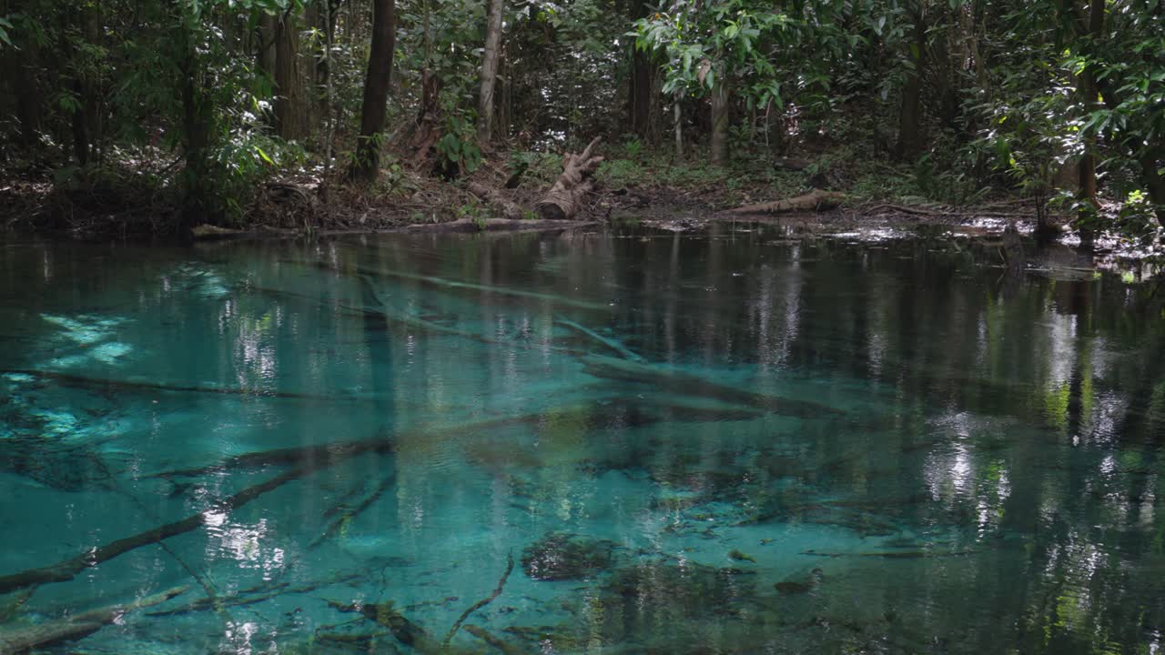 Emerald Pool in the Jungle
