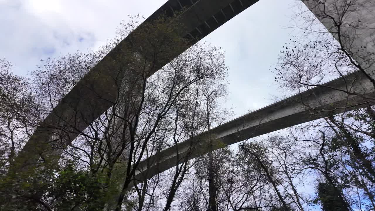 A high concrete viaduct stretches across the sky as seen through dense forest canopy. Shot at the Viaducto de La Concha de Artedo, Autovía del Cantábrico, Asturias