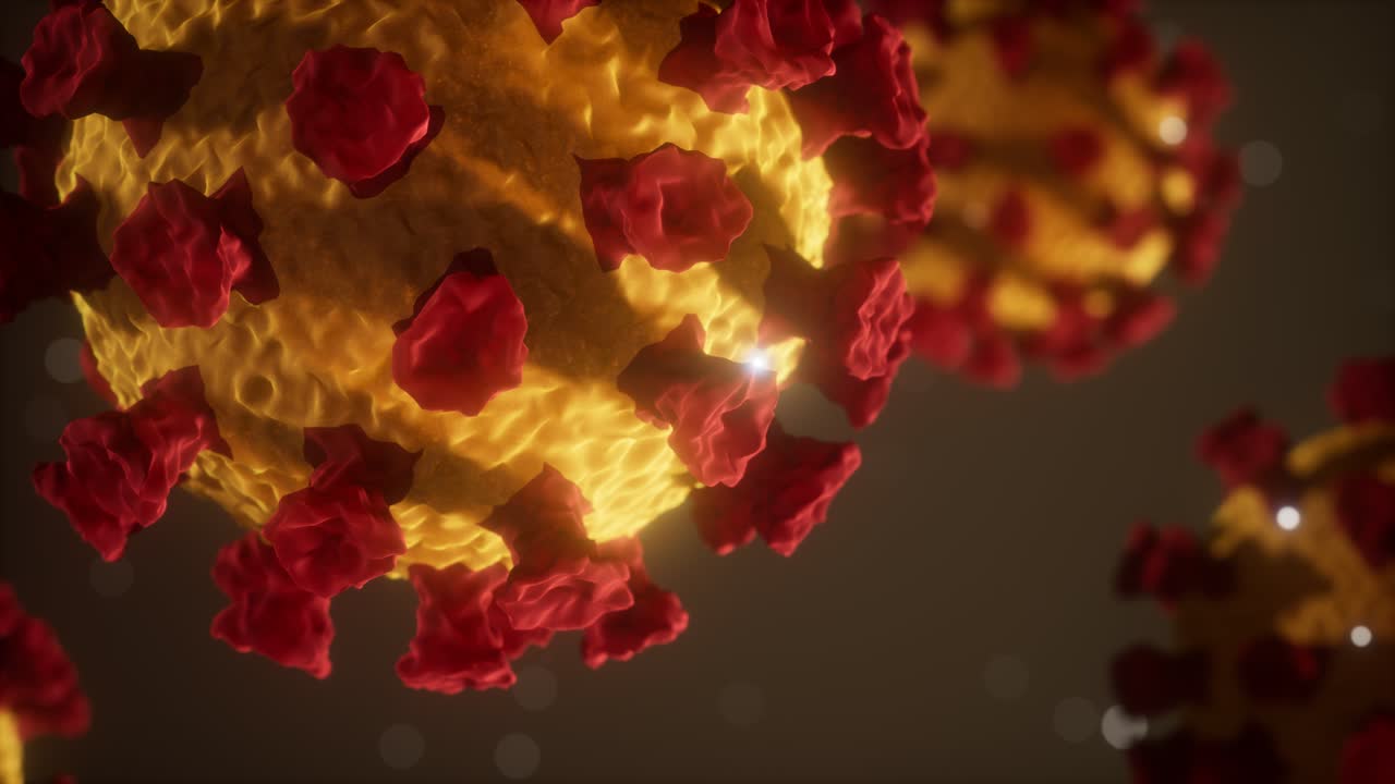 코로나바이러스 코로나19 의료 모델