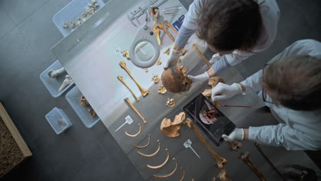 scientists analyzing skeletal remains in a laboratory