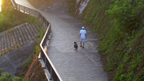 En-Los-Veranos-De-Japon-Mucha-Gente-Sale-A-Pasear-Con-Sus-Mascotas,-La-Tarde-Es-El-Momento-Ideal-Ya-Que-El-Calor-Es-Mucho-Menos-Intenso