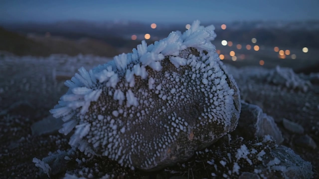 Panorerende kamera som avslører stor rimbelagt feltstein på lynghei, søker subtilt morgenlys og bokeh