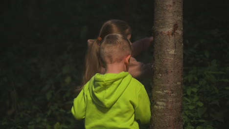 children walk in night nature park together. brother with elder sister explore woods at nighttime. active little kids adventure on vacation