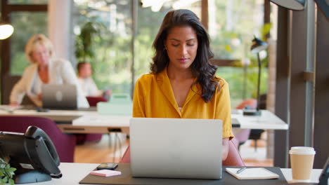 mujer de negocios madura trabajando en una computadora portátil en el escritorio en la oficina haciendo una pausa para mirar por la ventana